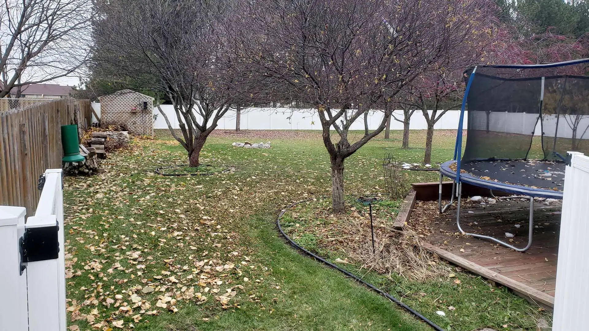 All the leaves have fallen from the trees of this backyard in Saginaw, %state%%.