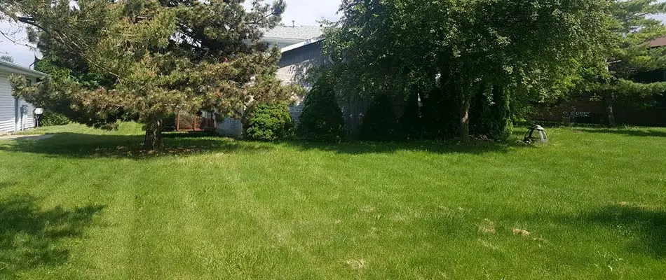 A lawn with mowing stripes in Saginaw, MI.