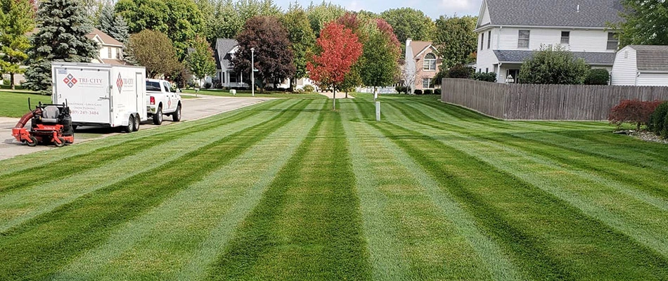 A freshly mowed lawn by a Midland, MI homeowner's yard.