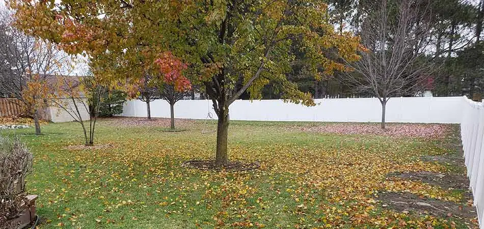 Leaves have begun to fall in this Midland yard.