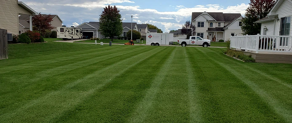 Midland back yard that has been mowed using an alternating pattern.