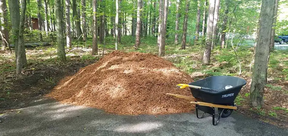 Cedar mulch pile about to be installed in Midland, MI.