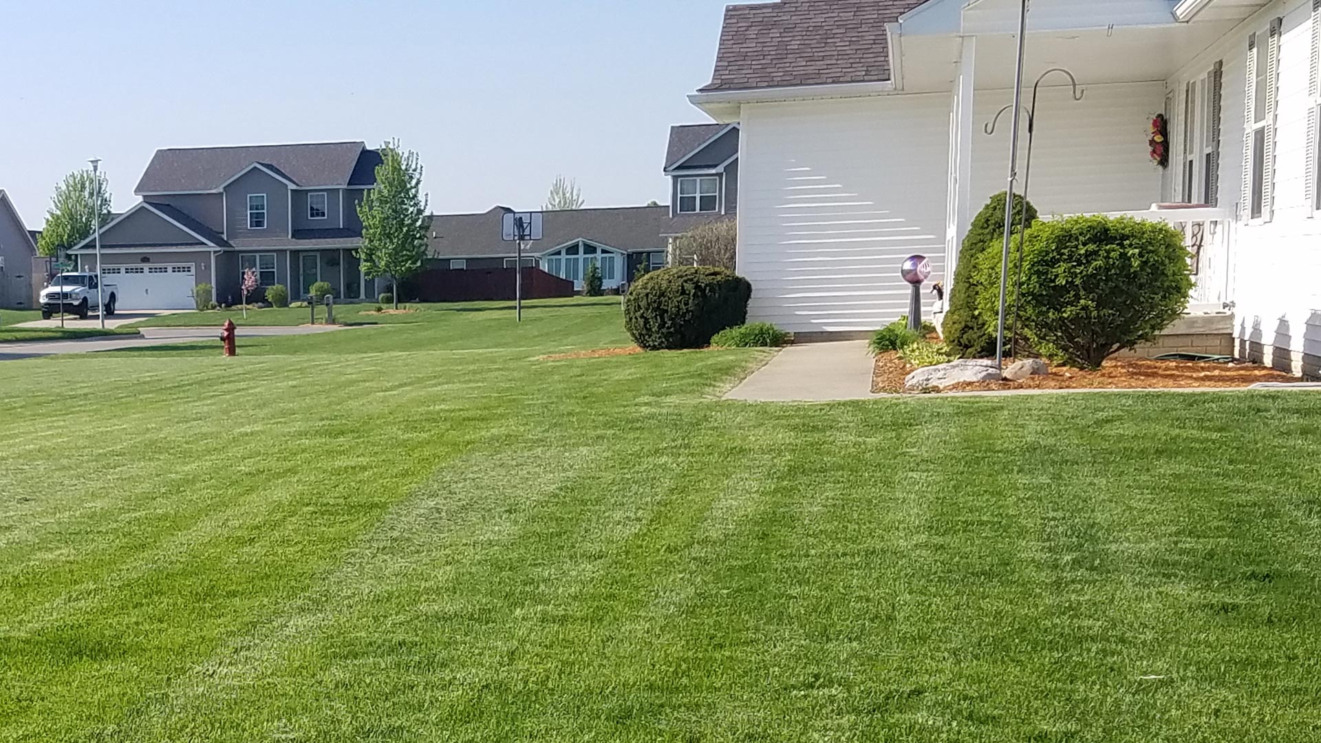 Close up of healthy green grass and landscaping at a home in Saginaw, MI.