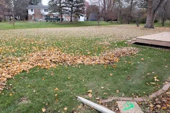 Leaves in front of a home in Freeland, MI that are being cleaned up.